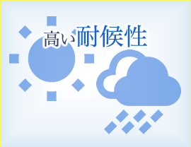 高い耐候性