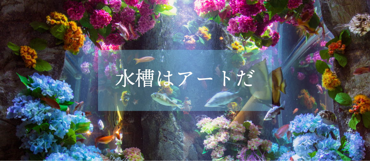 HAMANAKA ARTSのアクリル水槽を紹介。ハマナカの人気水槽をご紹介。